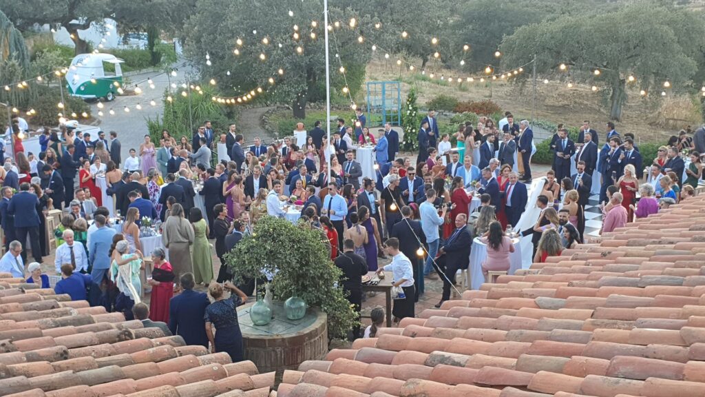 Wedding Evening